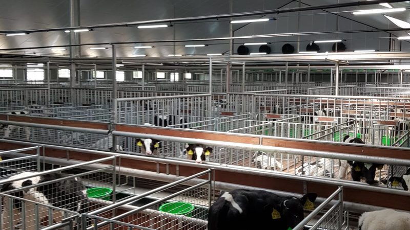 电商ERP系统在食品行业的应用